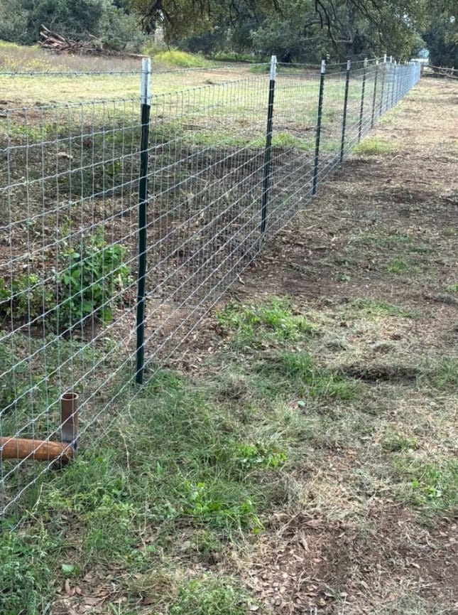 New wire fence on pipe posts