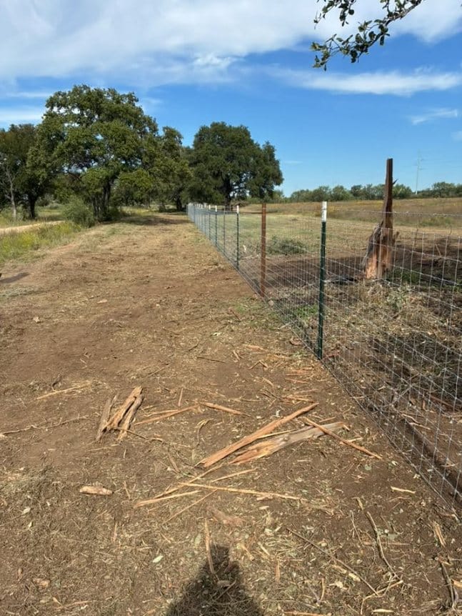 New fence along a cleared fence line